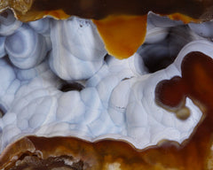 Agate pseudomorph after Coral