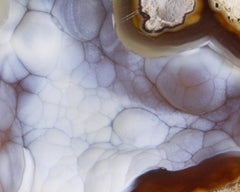 Agate pseudomorph after Coral