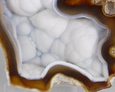 Agate pseudomorph after Coral