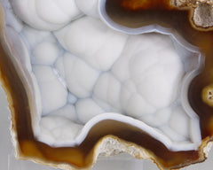 Agate pseudomorph after Coral