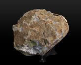 Agate Geode (2 halves)