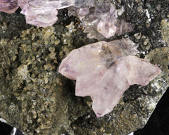 Amethyst on Rhyolite