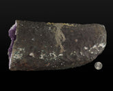 Amethyst Geode