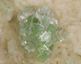 "Disco Ball" Apophyllite on Stilbite