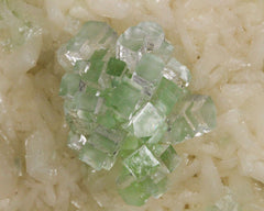 "Disco Ball" Apophyllite on Stilbite