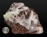 Apophyllite with Scolecite on Matrix
