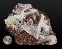 Apophyllite with Scolecite on Matrix