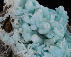 Blue Aragonite