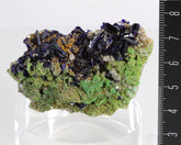 Azurite with Malachite
