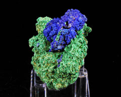 Azurite on Malachite