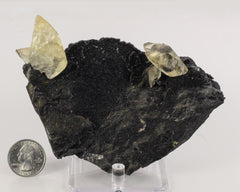 Calcite with Stibnite