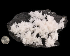 Mangano Calcite