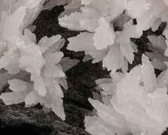 Mangano Calcite
