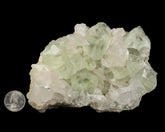 Fluorite with Calcite