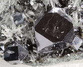 Galena with Quartz