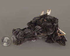 Hematite blades with Quartz