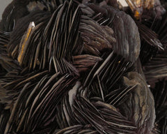 Hematite blades with Quartz