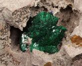 Malachite in Sandstone