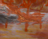 Petrified Wood, polished