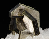 Muscovite on Albite