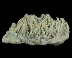 Prehnite