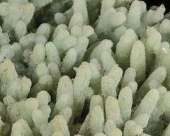 Prehnite