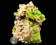 Pyromorphite on Limonite