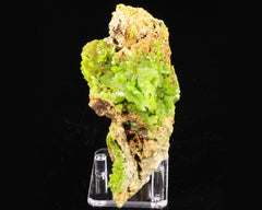 Pyromorphite on Limonite