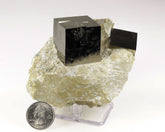 Pyrite Cubes on Matrix