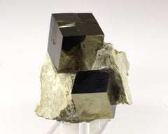 Pyrite Cubes on Matrix