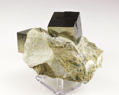 Pyrite Cubes on Matrix