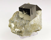 Pyrite Cubes on Matrix