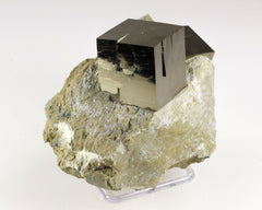 Pyrite Cubes on Matrix