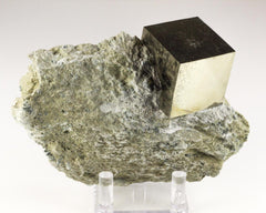 Pyrite Cube on Matrix