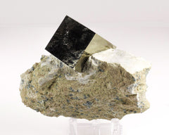 Pyrite Cube on Matrix-