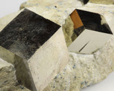 Pyrite Cubes on Matrix