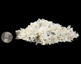 Quartz on Sphalerite