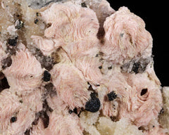 Rhodochrosite with Sphalerite, Quartz