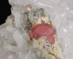 Rhodochrosite on Quartz