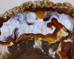 Agate pseudomorph after Coral