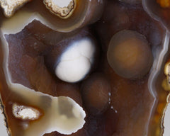 Agate pseudomorph after Coral
