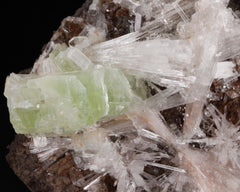 Apophyllite with Scolecite on Matrix