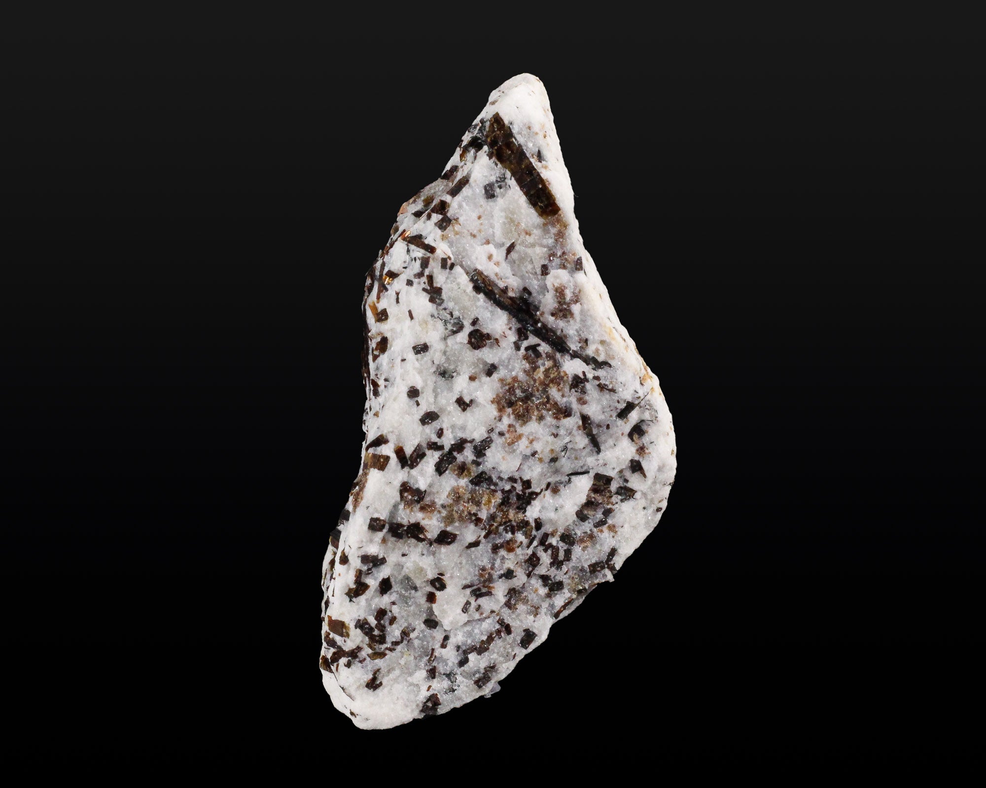 Astrophyllite
