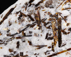 Astrophyllite