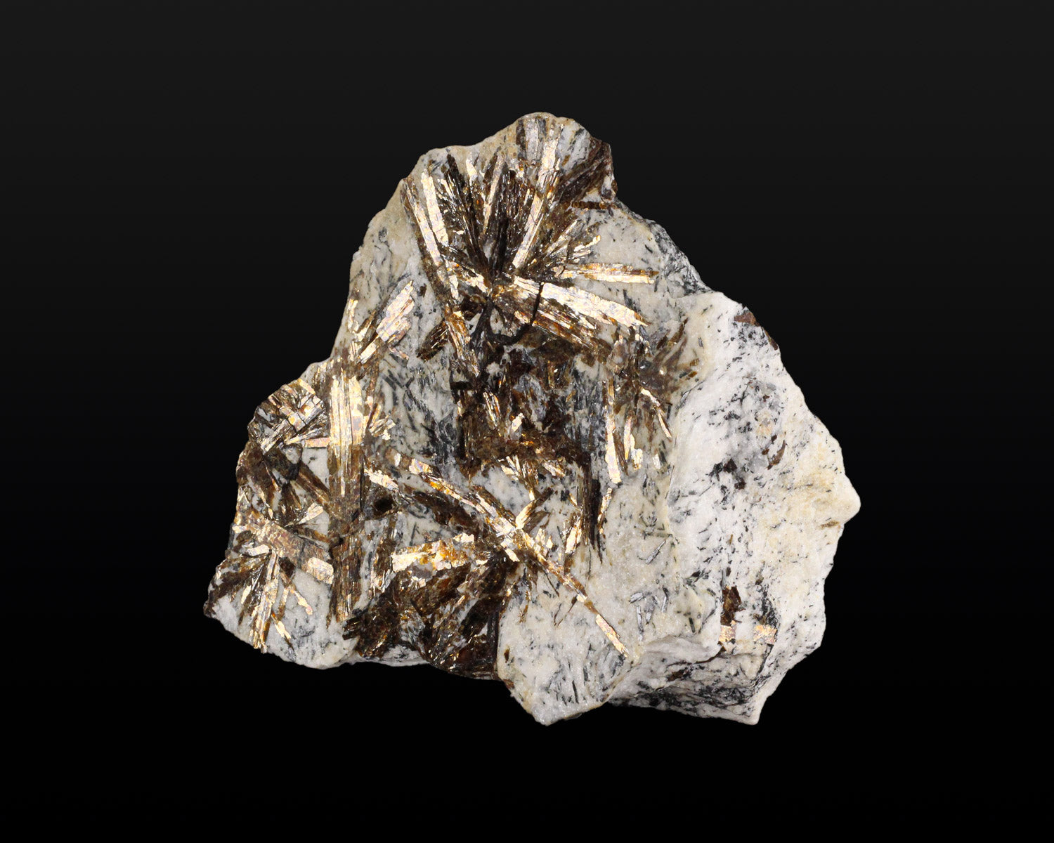 Astrophyllite