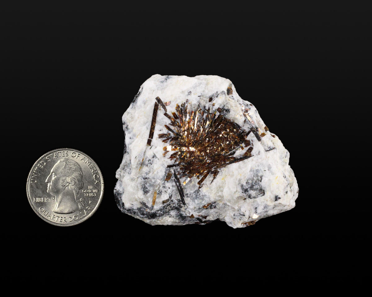 Astrophyllite
