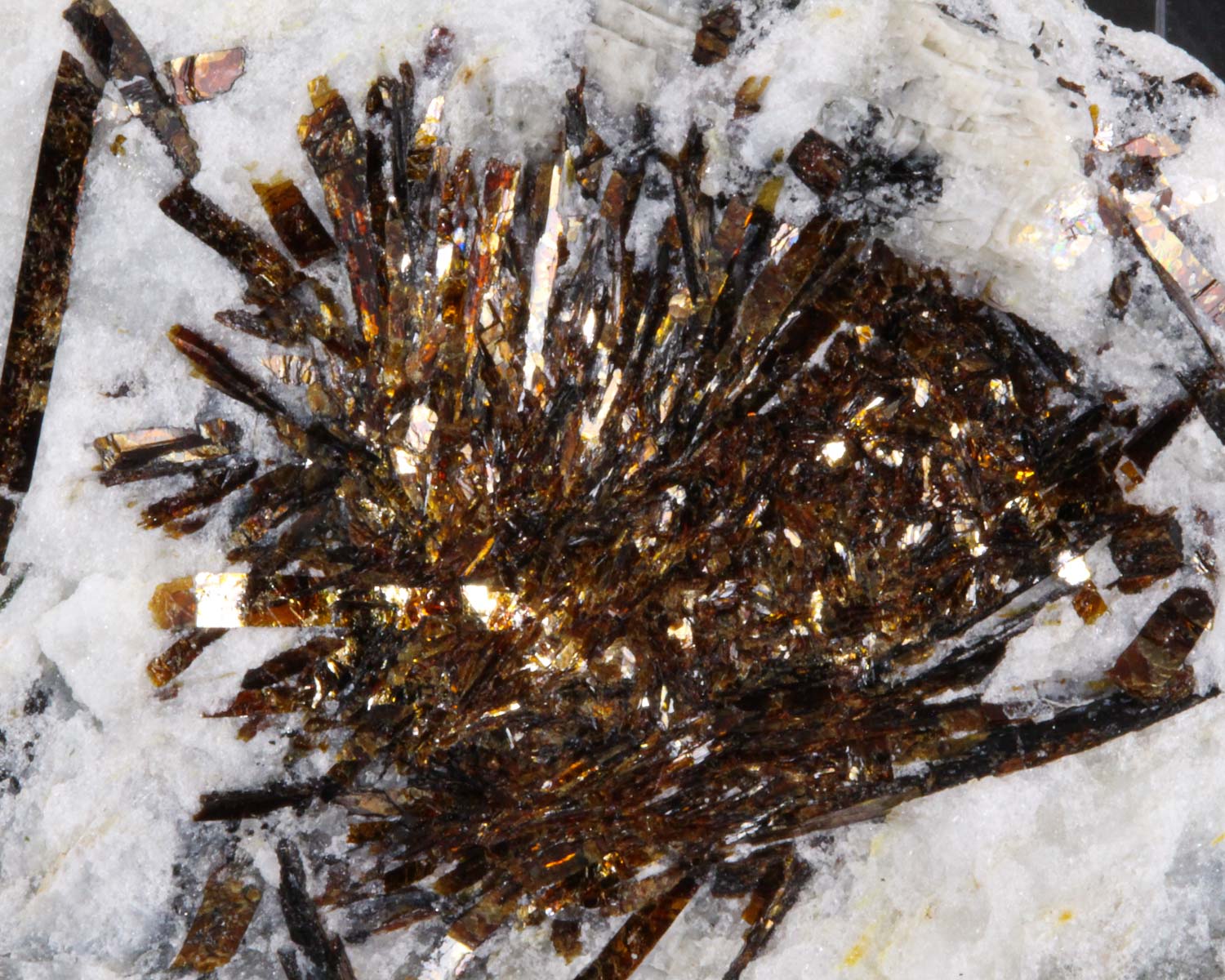 Astrophyllite