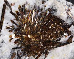Astrophyllite