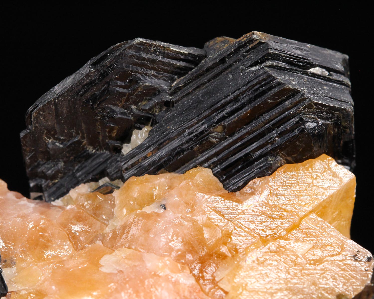 Biotite in Calcite