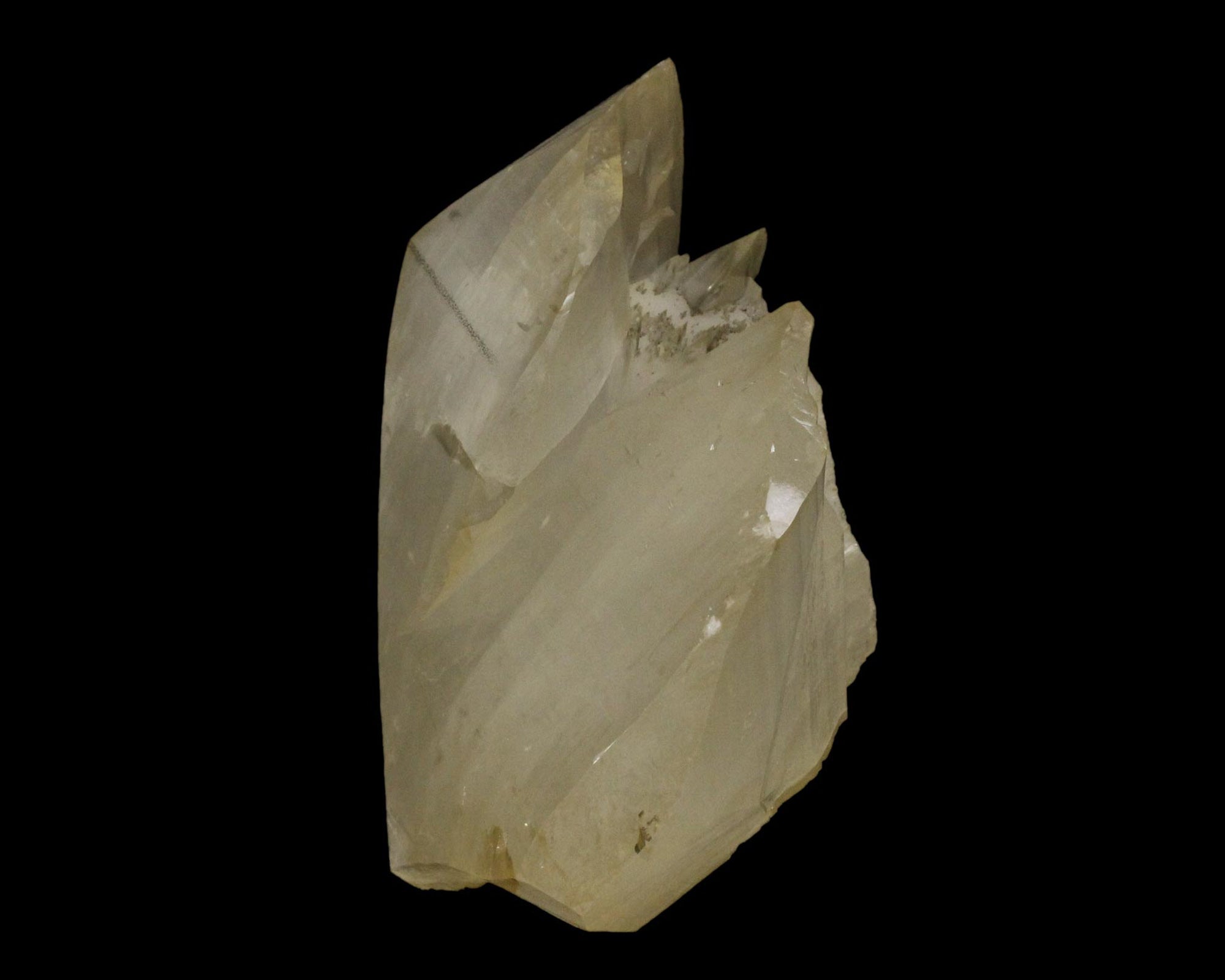 Calcite with Pyrite